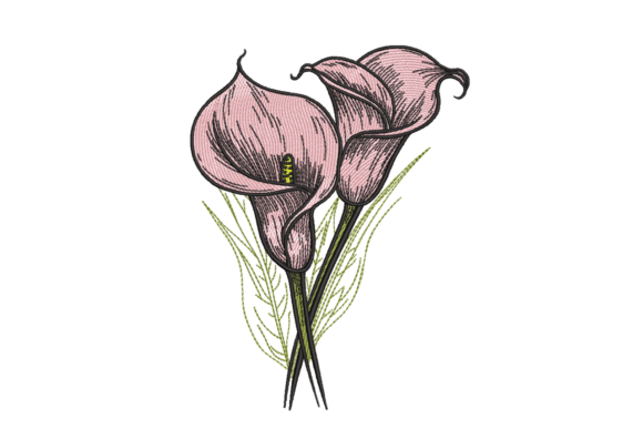 Pink Calla Lily Duo: A Designer’s Honest Review