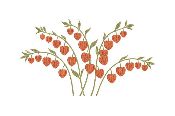 Reviewing the Chinese Lantern Plant Embroidery Design
