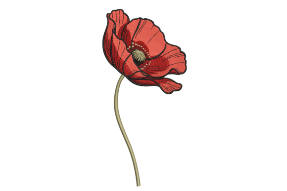 Reviewing the Elegant Red Poppy – Single Stem