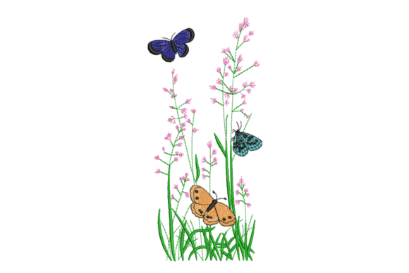 Wildflower Meadow Butterflies: A Designer’s Review