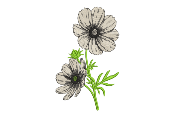 Wildflower Sketch Duo: A Designer’s Review